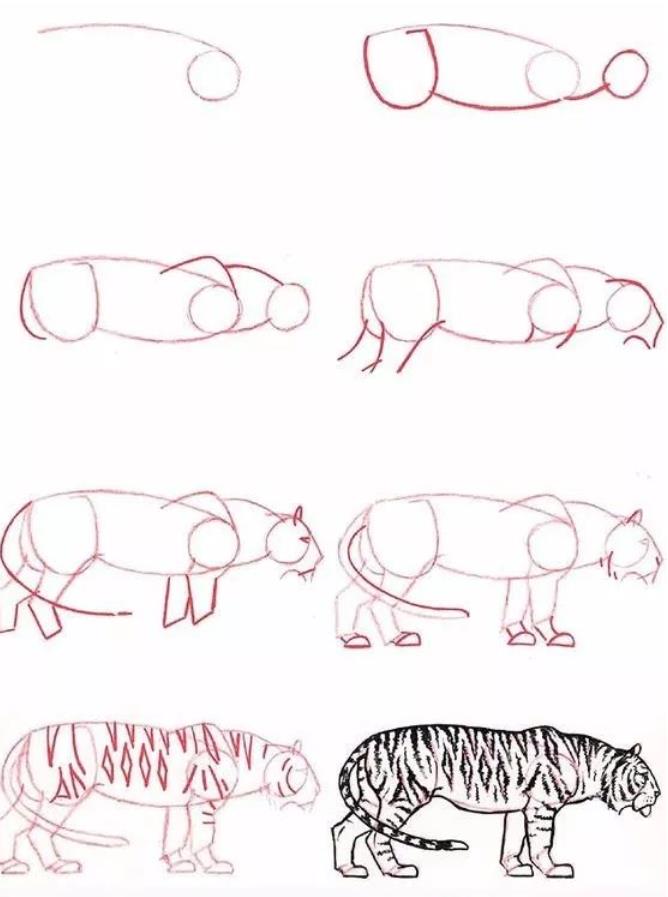 简单的动物怎么画简笔画图片大全
