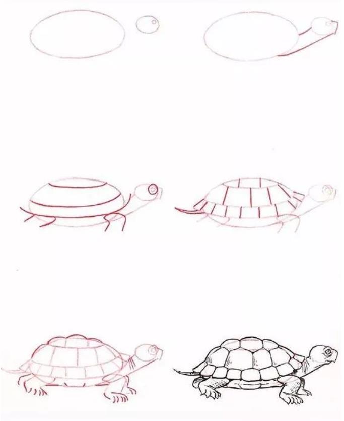 简单的动物怎么画简笔画图片大全