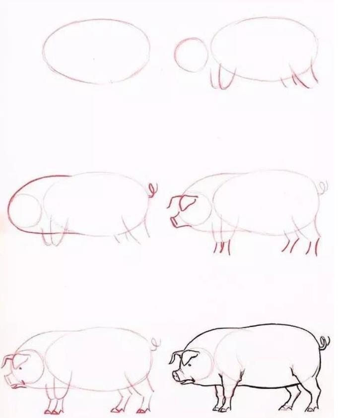 简单的动物怎么画简笔画图片大全