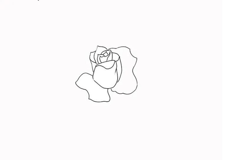 画一朵立体玫瑰花 玫瑰画法高级感简单易学