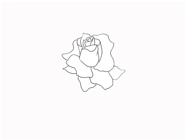 画一朵立体玫瑰花 玫瑰画法高级感简单易学