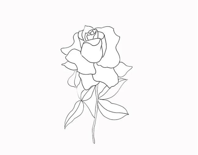 简单玫瑰花怎么画 一步一步的画玫瑰简单又漂亮