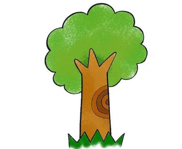 简单画树的方法 一步一步教你画大树