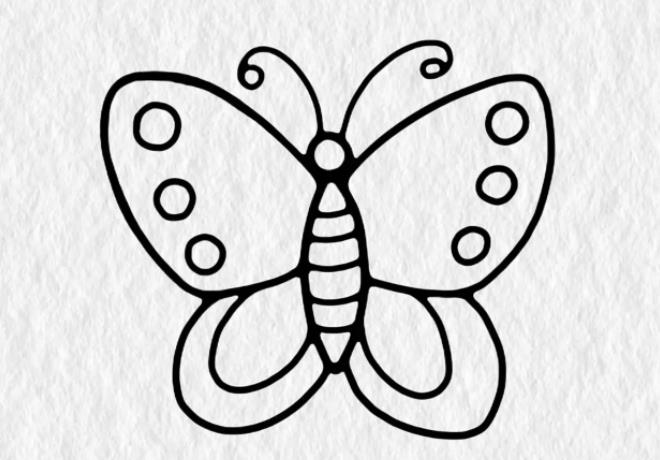 蝴蝶怎么画简单又好看 一步一步教画蝴蝶教程