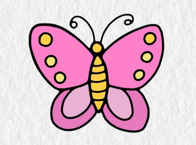 蝴蝶怎么画简单又好看 一步一步教画蝴蝶教程