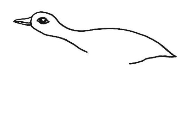大雁怎么画简单又好看 大雁怎么画简单又好看