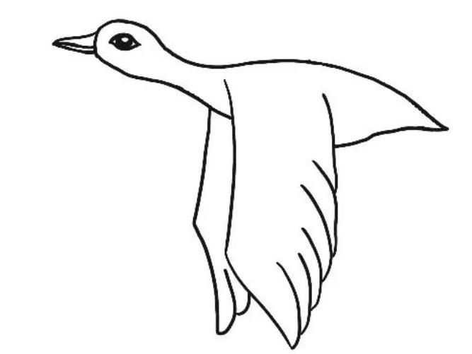 大雁怎么画简单又好看 大雁怎么画简单又好看