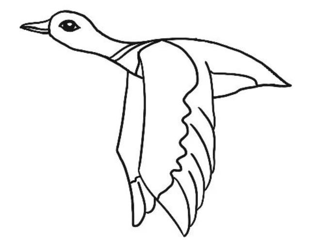 大雁怎么画简单又好看 大雁怎么画简单又好看