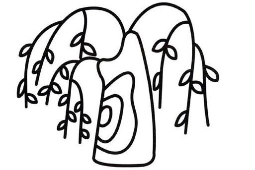 垂柳怎么画简单好看 垂柳简笔画图片