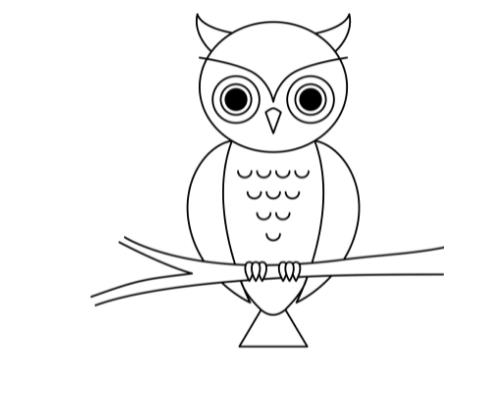 一二三年级画可爱猫头鹰怎么画 猫头鹰简笔画图片超简单
