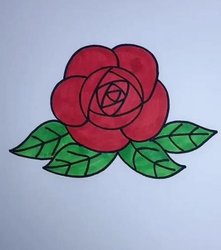 2024玫瑰花的简单画法又好看图片欣赏