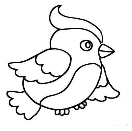 一步一步教你画小鸟教程 小鸟简笔画简单又漂亮