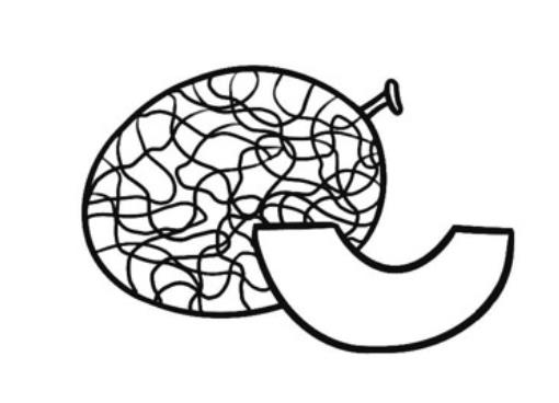哈密瓜简笔画简单又好看图片欣赏