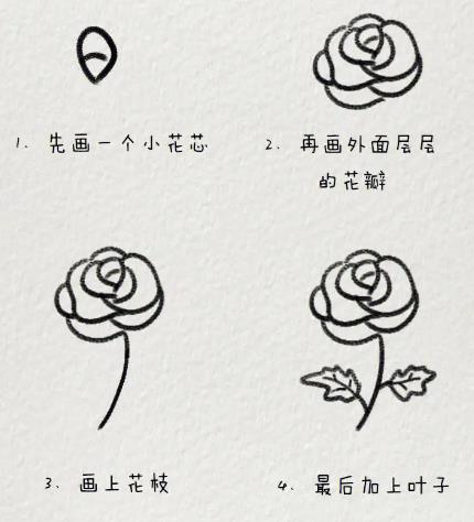最简单的画玫瑰花方法图片最新分享