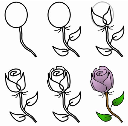 最简单的画玫瑰花方法图片最新分享