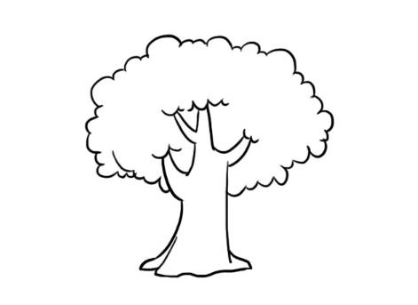 精选树的简笔画图片大全欣赏