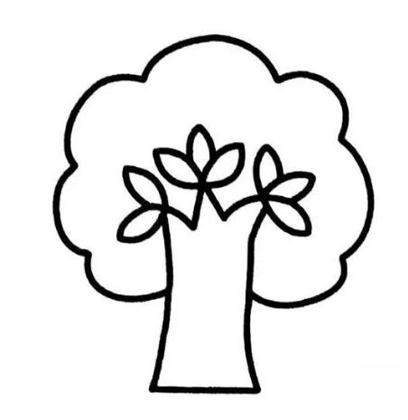 精选树的简笔画图片大全欣赏