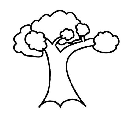 精选树的简笔画图片大全欣赏