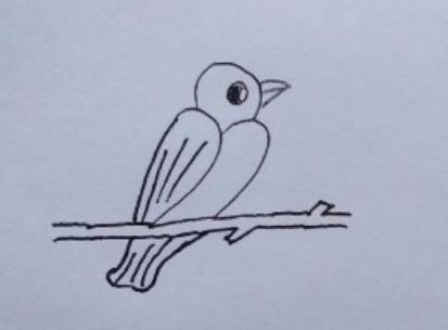 2十2画鸟怎么画图片大全欣赏