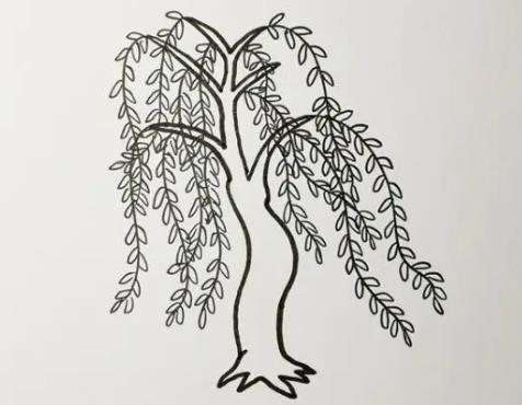 精选画一棵柳树怎么画简单又好看图片