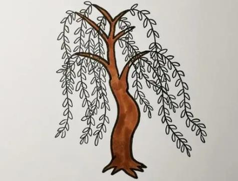 精选画一棵柳树怎么画简单又好看图片