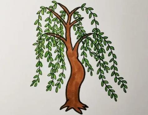 精选画一棵柳树怎么画简单又好看图片