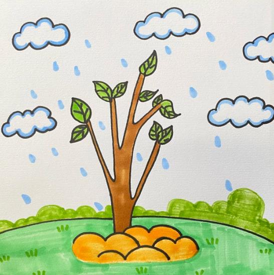 3.12植树节简笔画涂色简单又漂亮