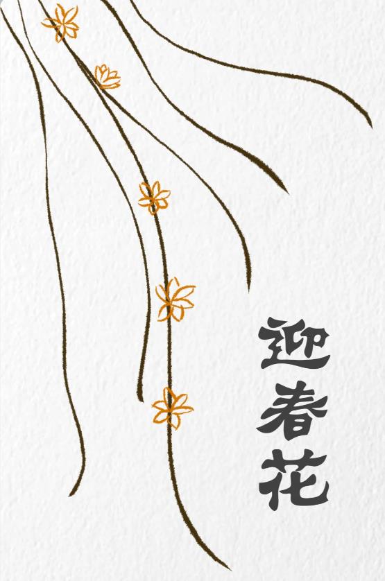 一步一步教我画迎春花简单图片教程