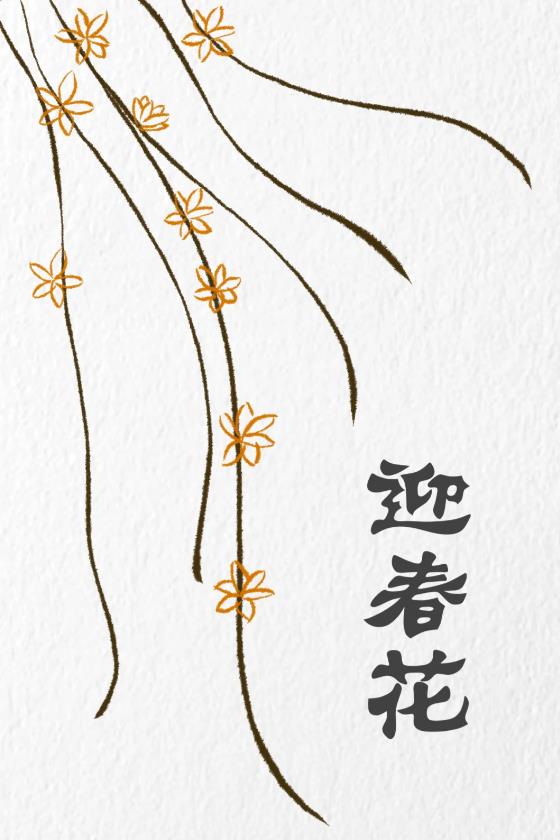 一步一步教我画迎春花简单图片教程