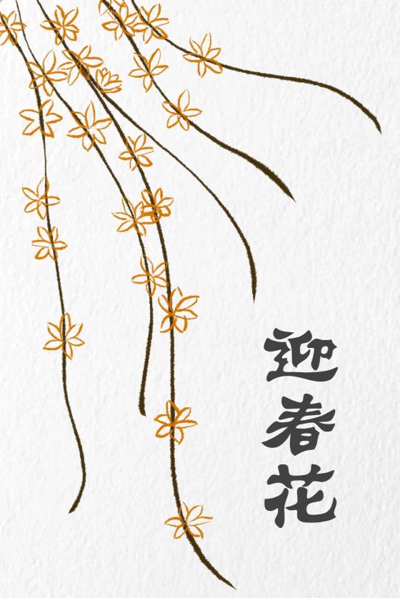 一步一步教我画迎春花简单图片教程