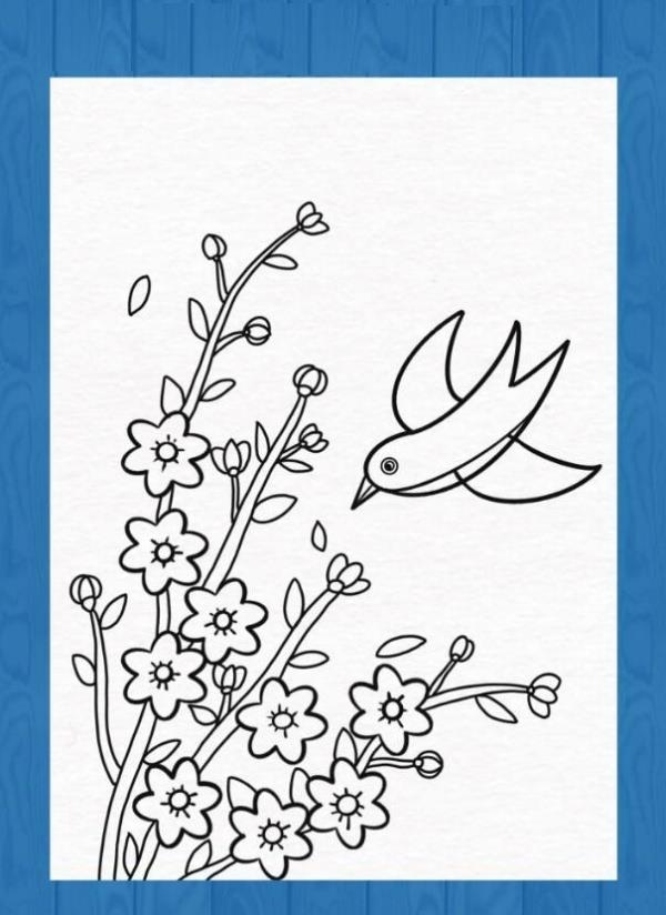 报春花简笔画彩色大全(含教程步骤)