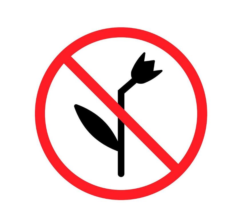 禁止采花的标志图画简笔画怎么画