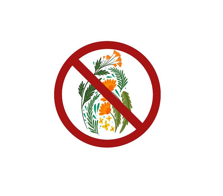 禁止采花的标志图画简笔画怎么画