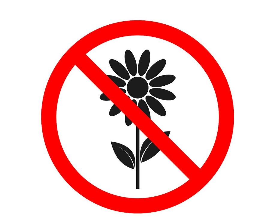 禁止采花的标志图画简笔画怎么画