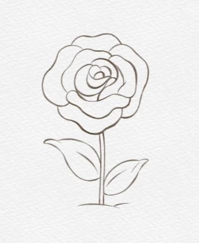 儿童简笔玫瑰花怎么画好看又简单