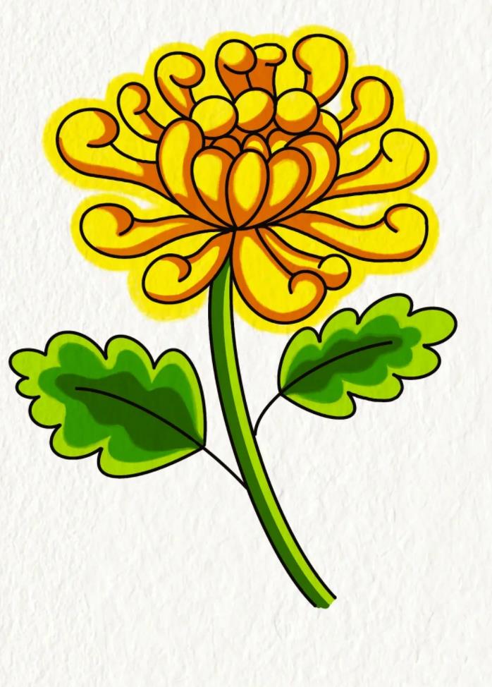 菊花简笔画简单又漂亮 怎样画菊花简单画法教程