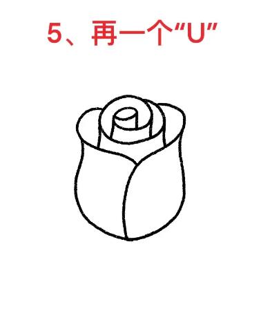 玫瑰花简笔画教程一步一步图解大全