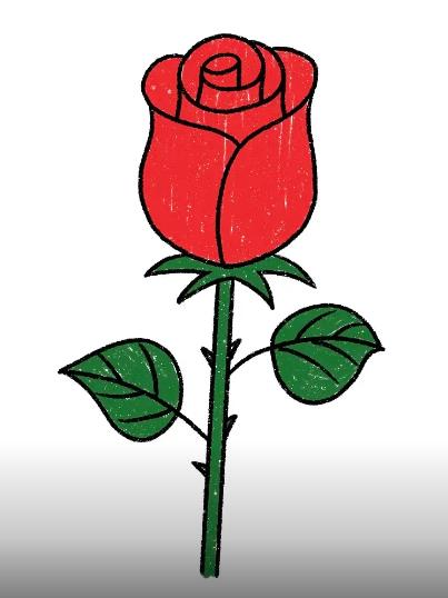 玫瑰花简笔画教程一步一步图解大全