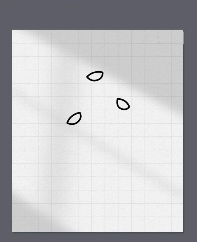 花朵简笔画一步一步教程图解 一笔一画教我画康乃馨