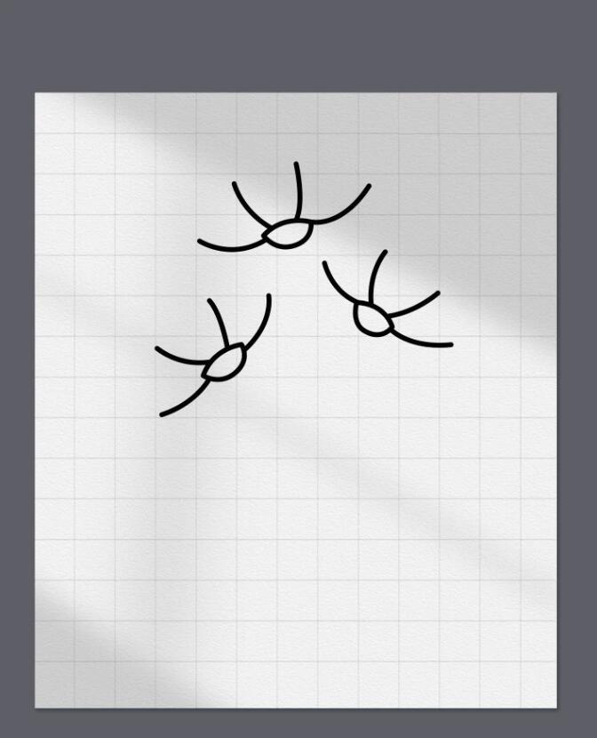 花朵简笔画一步一步教程图解 一笔一画教我画康乃馨