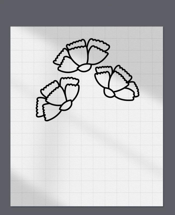 花朵简笔画一步一步教程图解 一笔一画教我画康乃馨