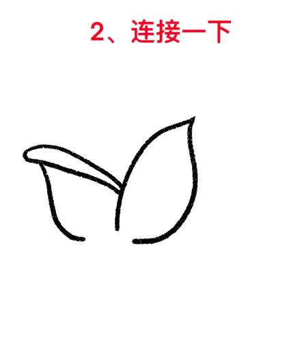 玫瑰花的简易画法儿童简单教程