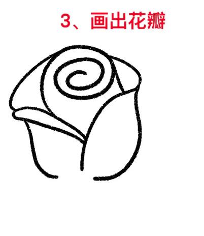 玫瑰花的简易画法儿童简单教程