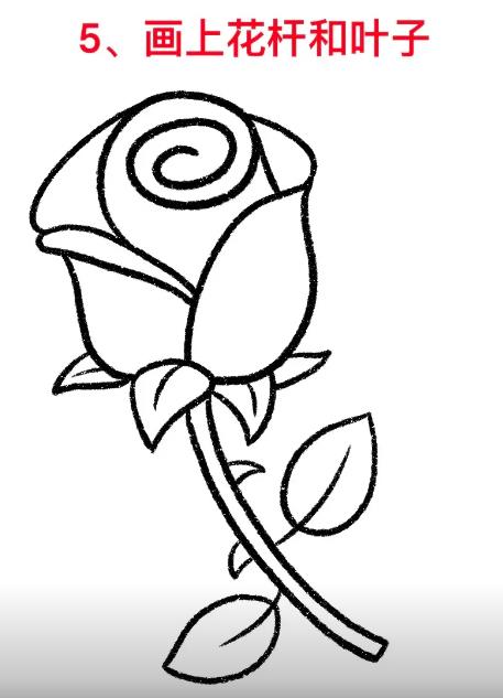 玫瑰花的简易画法儿童简单教程