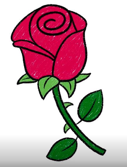 玫瑰花的简易画法儿童简单教程