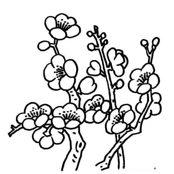 梅花树简笔画图片大全 梅花树简笔画图片大全儿童画