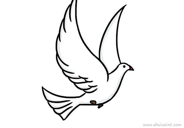 白鸽三步完成儿童画怎么画 白鸽三步完成简笔画顺序