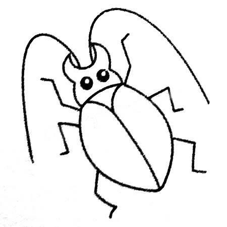 甲虫简笔画 金步甲虫简笔画