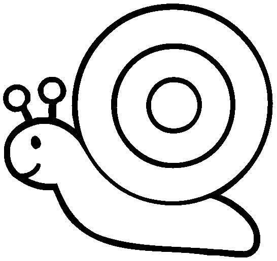 小蜗牛简笔画图片大全 小蜗牛简笔画图片大全彩色