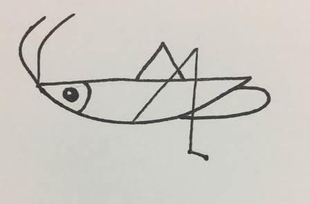 蚂蚱的简笔画图片大全 蚂蚱的简笔画图片大全可爱